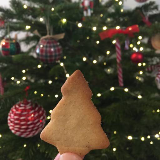 Sablés de Noël aux épices